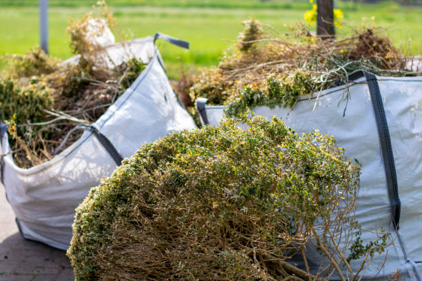 Best Household Junk Removal  in Pine Mountain Clu, CA